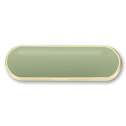 Council Board And Board Committee Member Position Pin