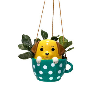 Pups in Cups