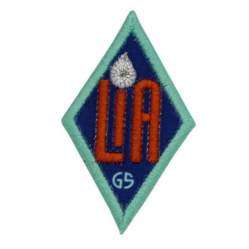 WOW! Wonders Of Water Cadette Leadership In Action (LiA) Award