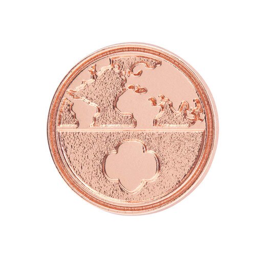 Global Action Award Pin