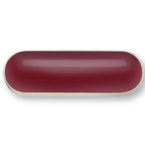 Program, Event And Camp Pathway Volunteer