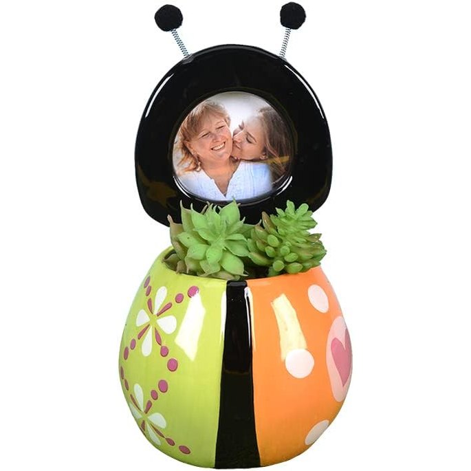 Lovebug Planter/Frame Green & Orange