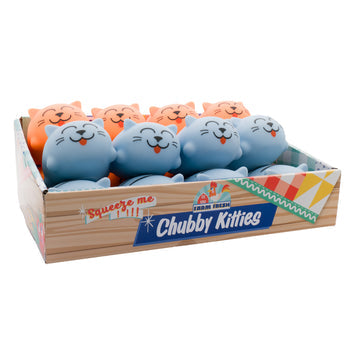 Chubby Kittens