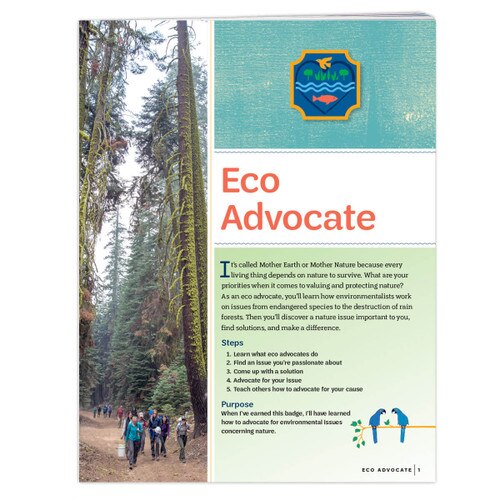Ambassador Eco Advocate Badge Requirements