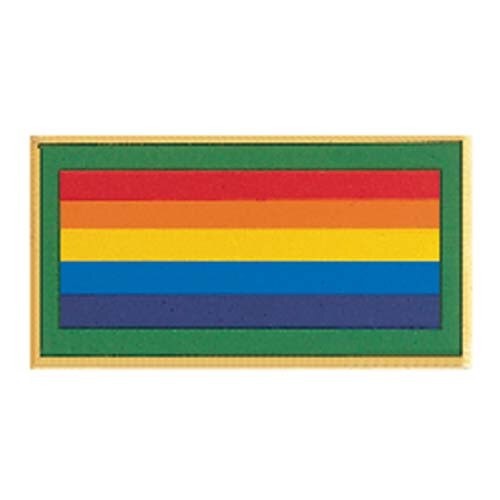 Bridge to Adult Girl Scout Award Pin