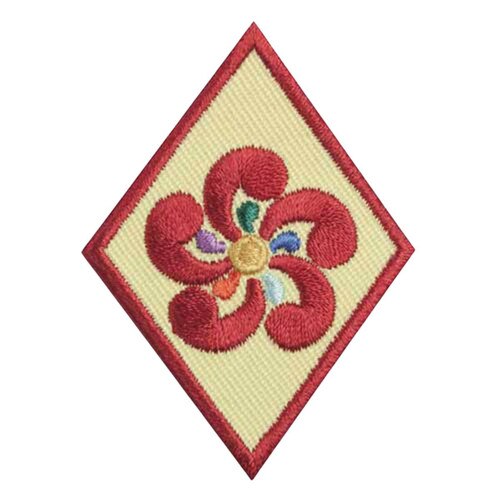 Cadette Entrepreneur Badge - Retired