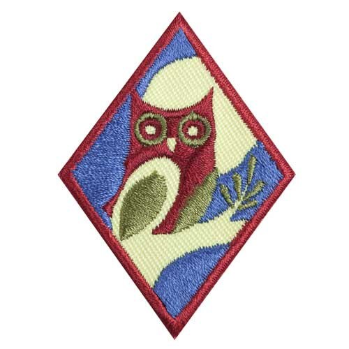 Cadette Night Out Badge