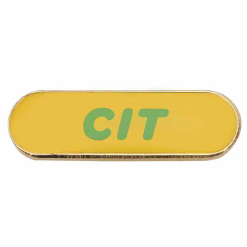 Counselor in Training I Award  Pin (Older Style)