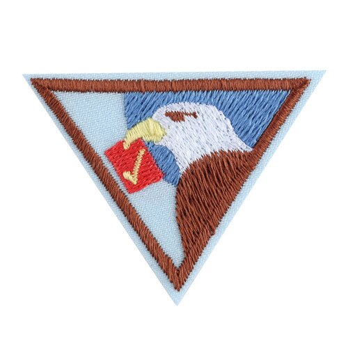 Democracy for Brownies Badge
