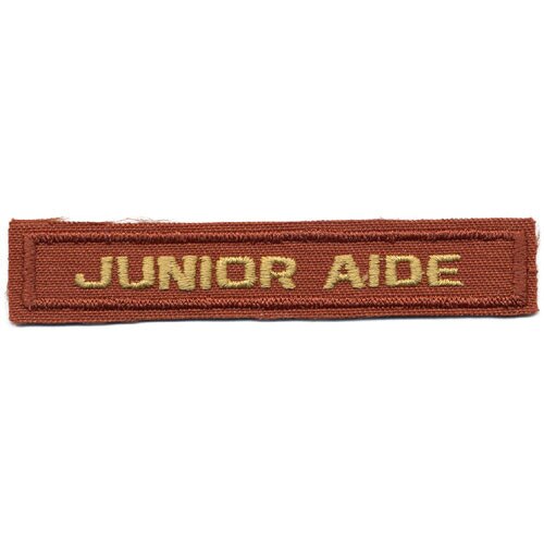 Junior Aide Award Pin