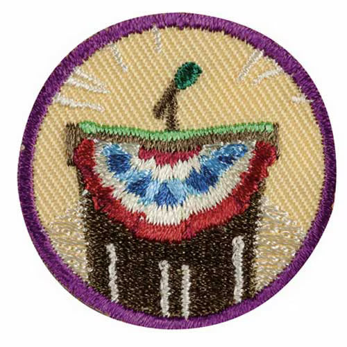 Junior Inside Government Badge