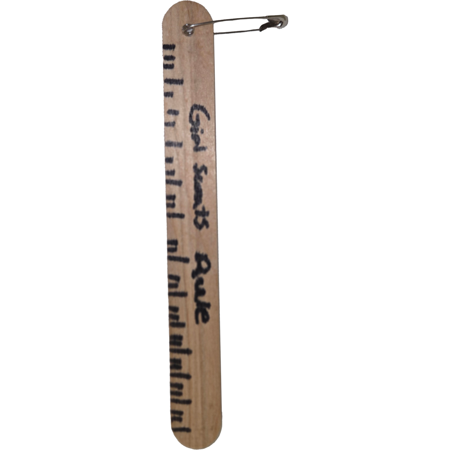 SWAPS Kit - Girl Scouts Rule