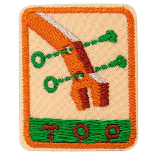Senior Designing Robots Badge