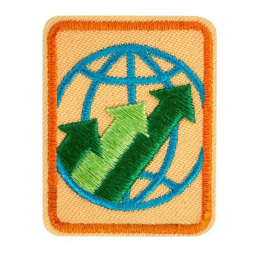 Senior Global Action Award - Year 1