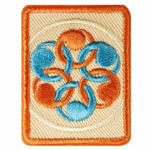Senior Social Innovator Badge