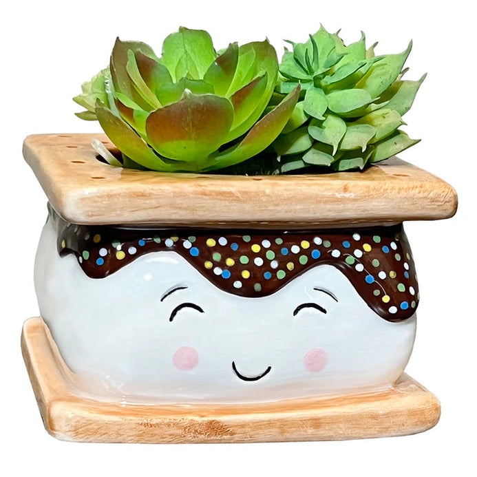 S'mores Planter