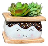 s'mores small planter