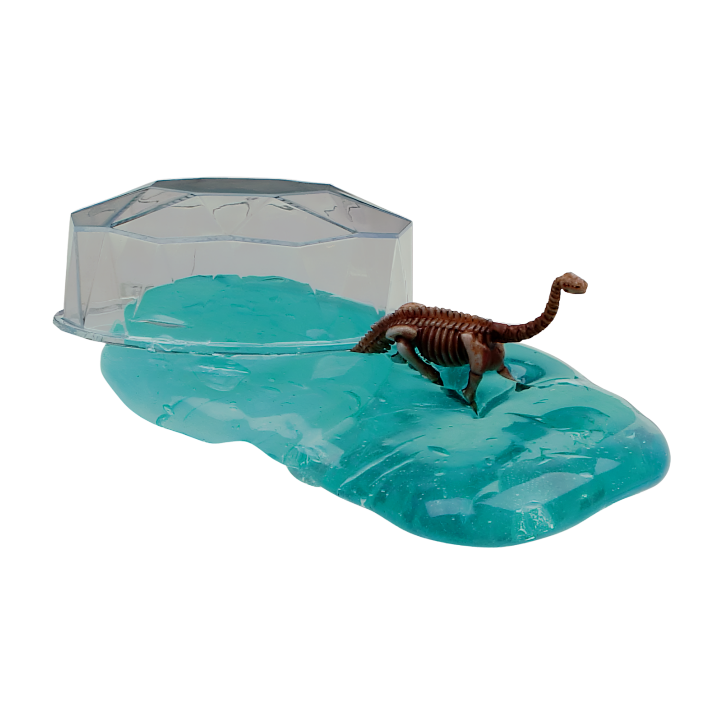 Dinosaur Fossil Putty