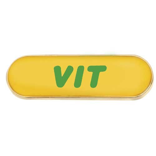 Volunteer in Training Award Pin (Older Style)