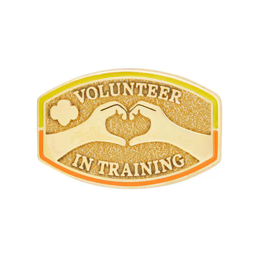 Volunteer in Training Award Pin