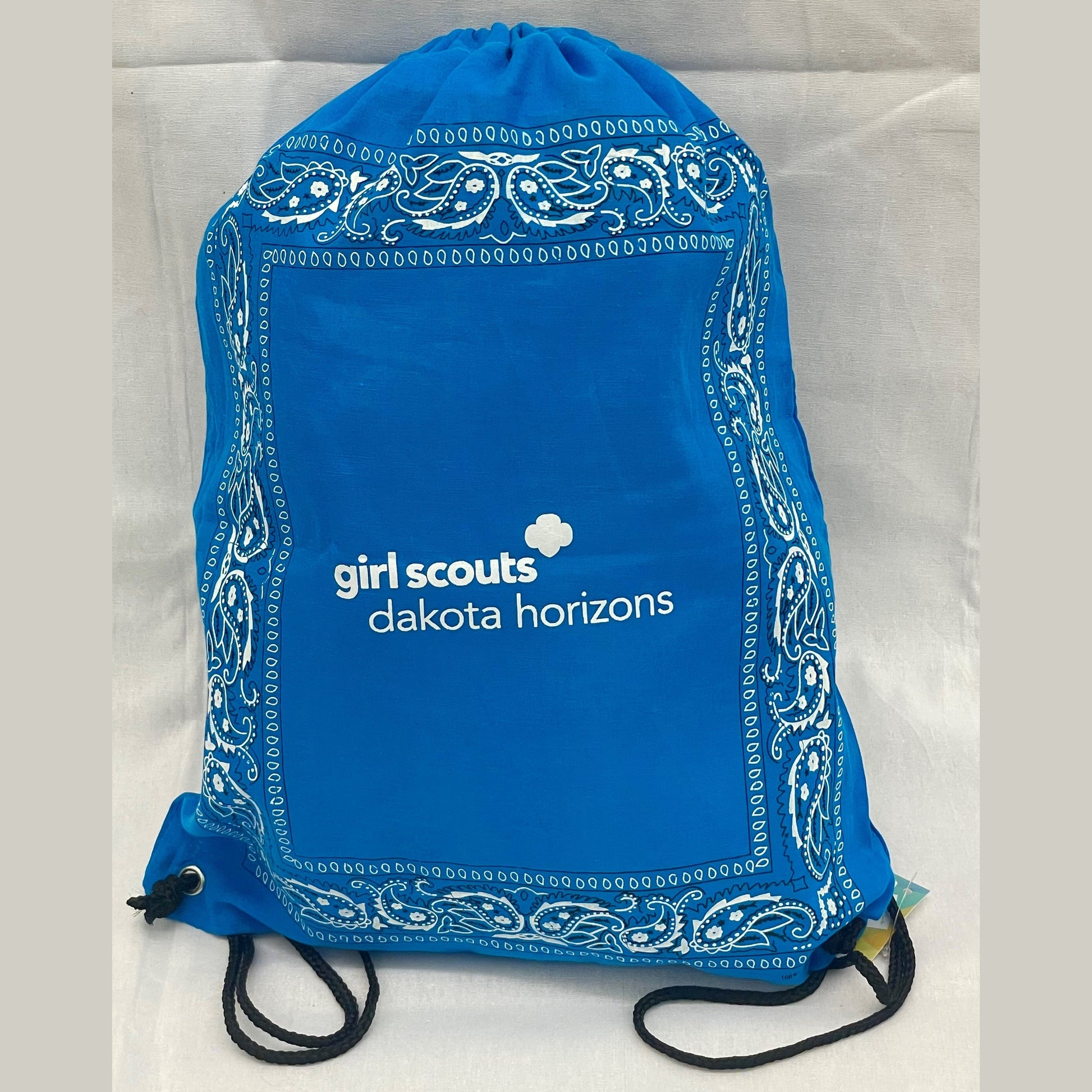 GSDH Drawstring Backpack - Turquoise